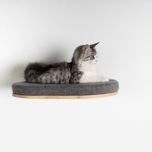 RHRQuality Mur d'Escalade Chats - Canapé de Luxe XXL (Gris)