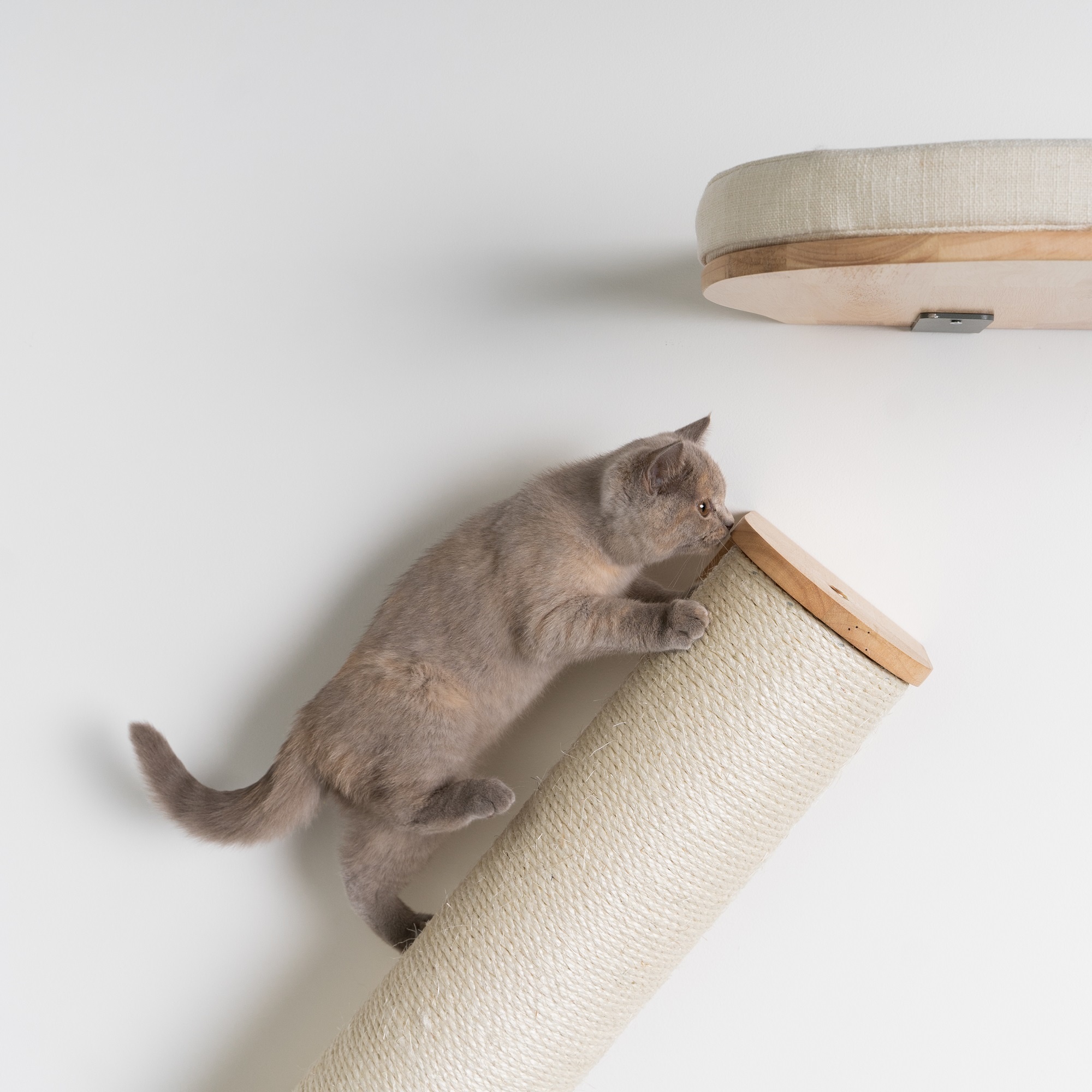 RHRQuality Mur d'Escalade Chats - Pont Mural pour Chats (Beige) 