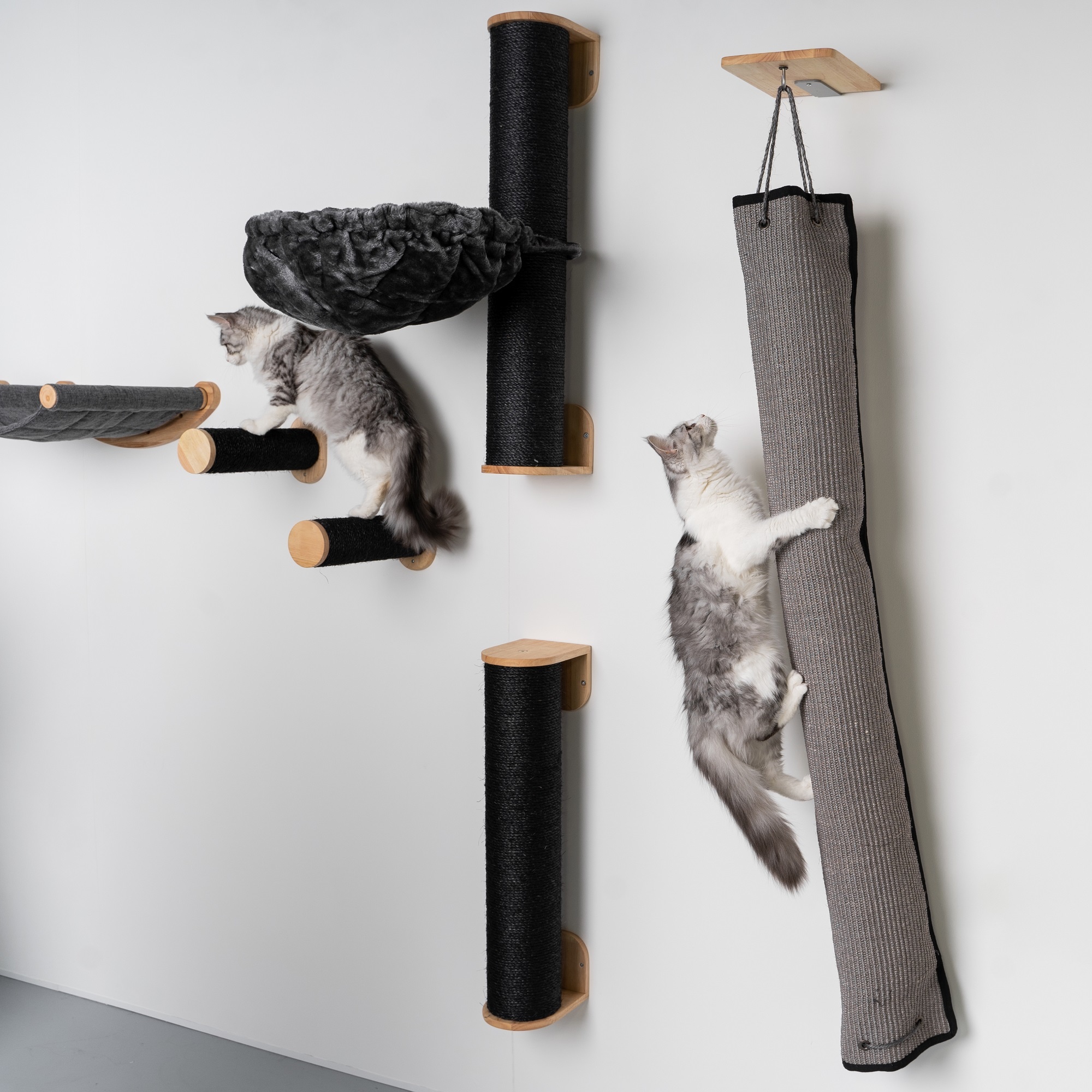 Barreau d'escalade à fixer au mur pour chat  Barreau d'escalade à fixer au mur  pour chat