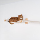 RHRQuality RHRQuality Mur d'Escalade Chats - Pont Mural pour Chats (Beige)