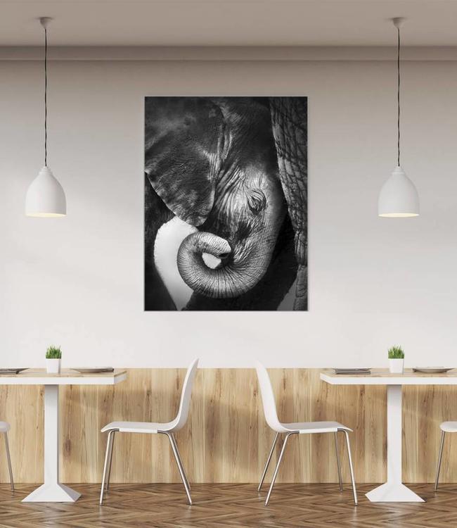 Acoustic picture "Elephant" - in an elegant aluminum frame