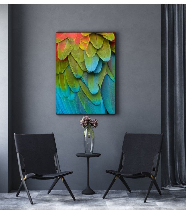 Acoustic picture "Parrot" - in an elegant aluminum frame