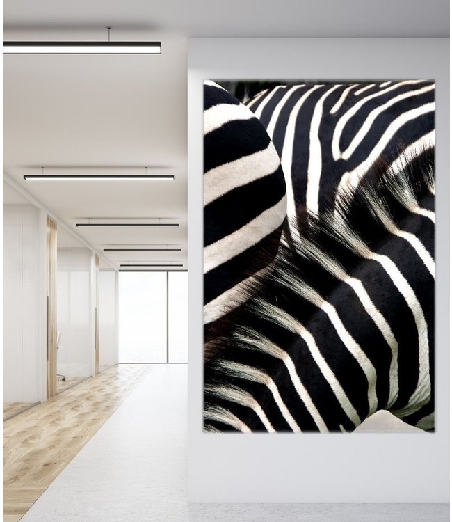 Acoustic picture "Zebras" - in an elegant aluminum frame