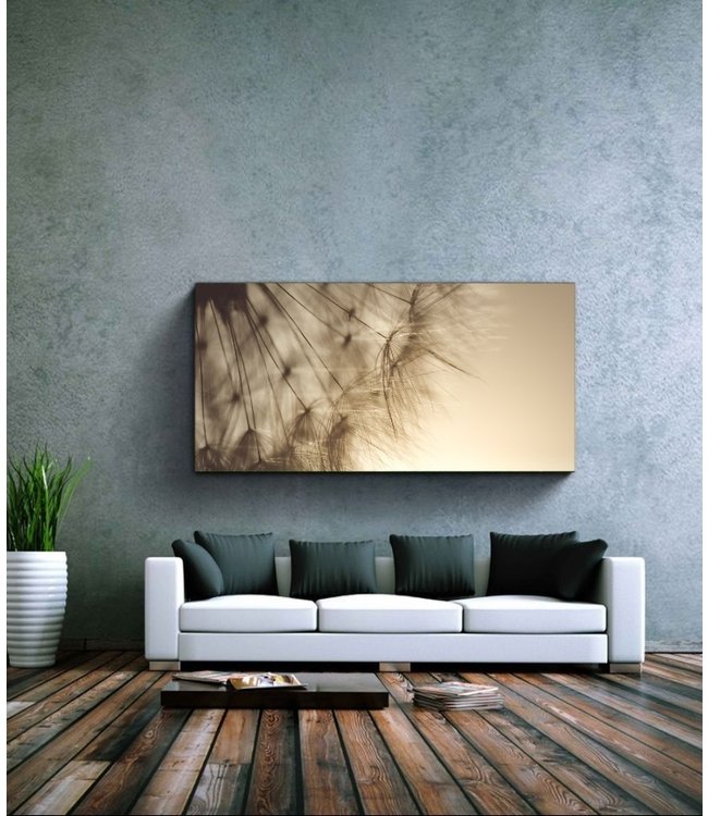 Acoustic picture "Dandelion" - in an elegant aluminum frame