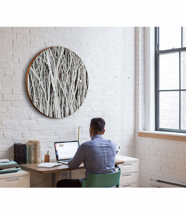 Runde akustiske bilde "hvite grener" - i en elegant aluminiumsramme