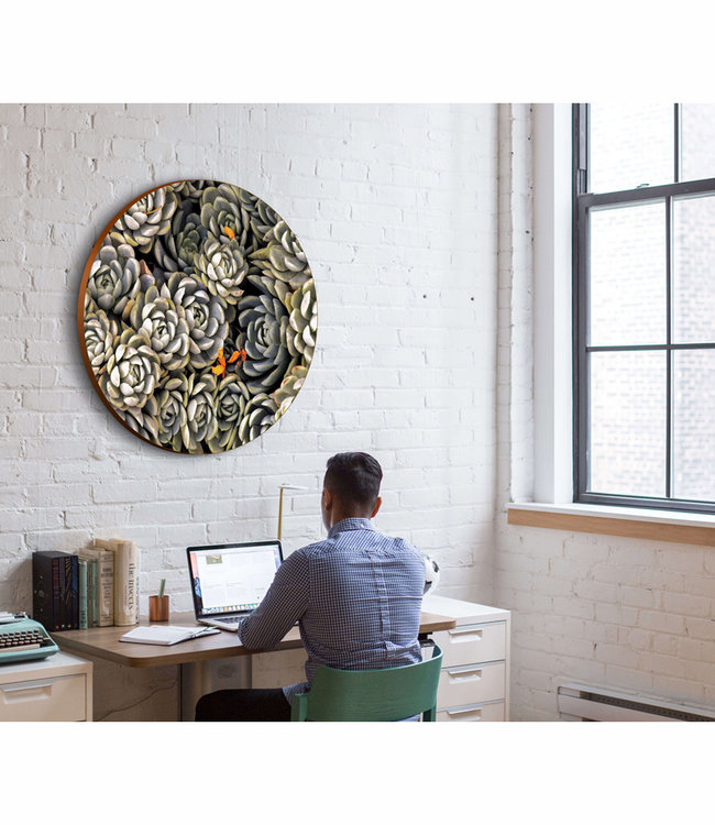 Round acoustic picture "Succulents"  - in an elegant aluminum frame