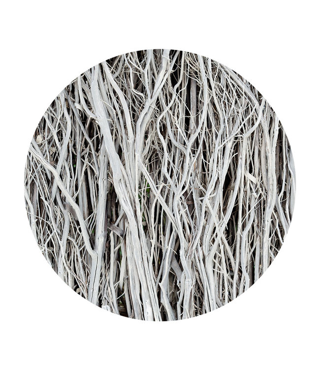 Round acoustic picture "White branches" - in an elegant aluminum frame
