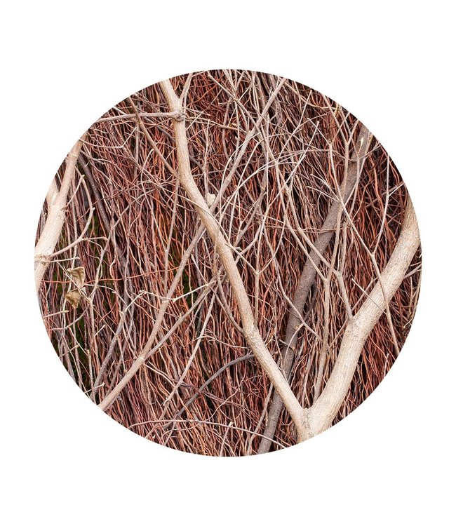 Runde akustiske bilder "brune grener" - i en elegant aluminiumsramme