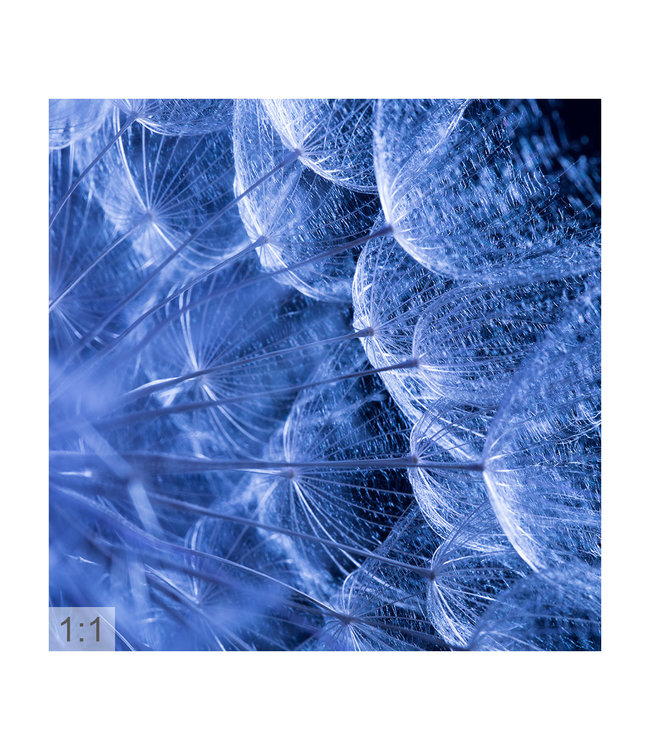 Akustikbild “Macro blue" – in einem eleganten Aluminiumrahmen