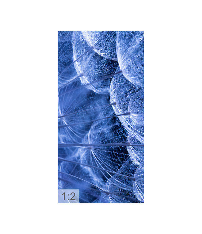 Acoustic picture "Macro blue" - in an elegant aluminum frame