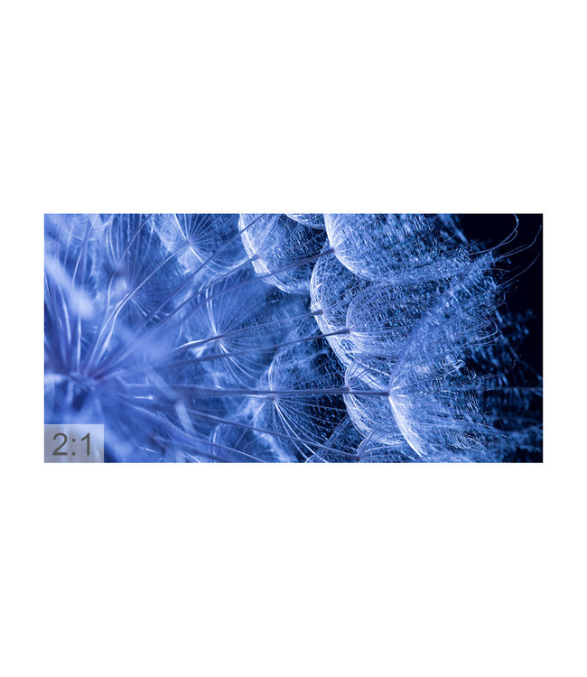 Akustikbild “Macro blue" – in einem eleganten Aluminiumrahmen