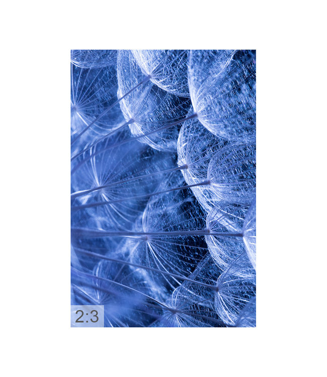 Acoustic picture "Macro blue" - in an elegant aluminum frame