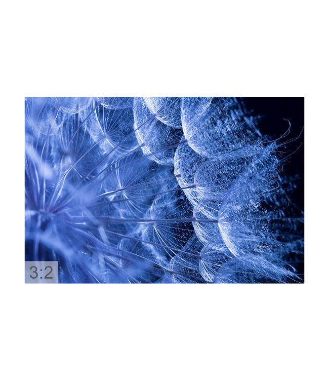 Acoustic picture "Macro blue" - in an elegant aluminum frame