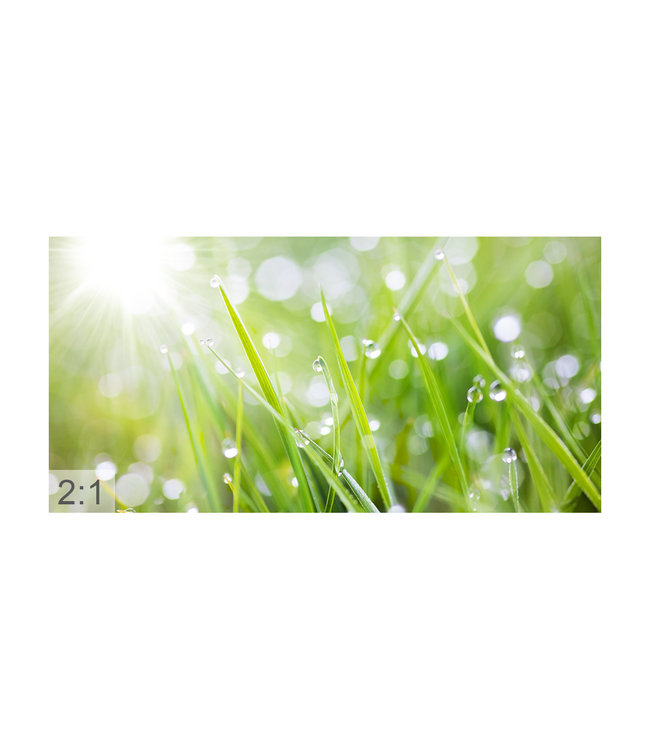 Akustikbild „Tauwetter“ – Eine elegante Lösung zur Lärmreduzierung!