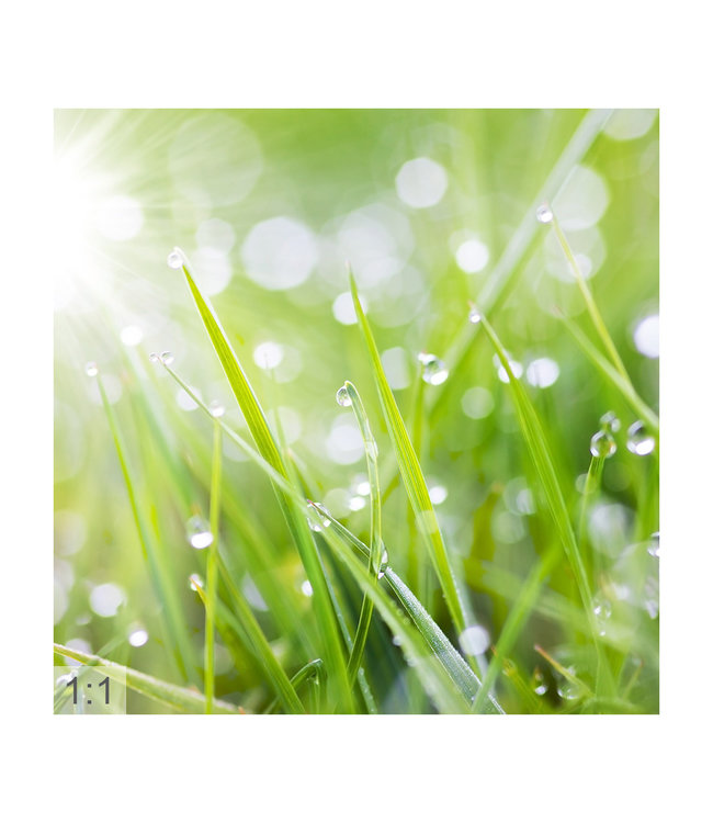 Akustikbild „Tauwetter“ – Eine elegante Lösung zur Lärmreduzierung!