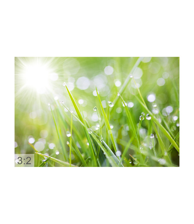 Akustikbild „Tauwetter“ – Eine elegante Lösung zur Lärmreduzierung!