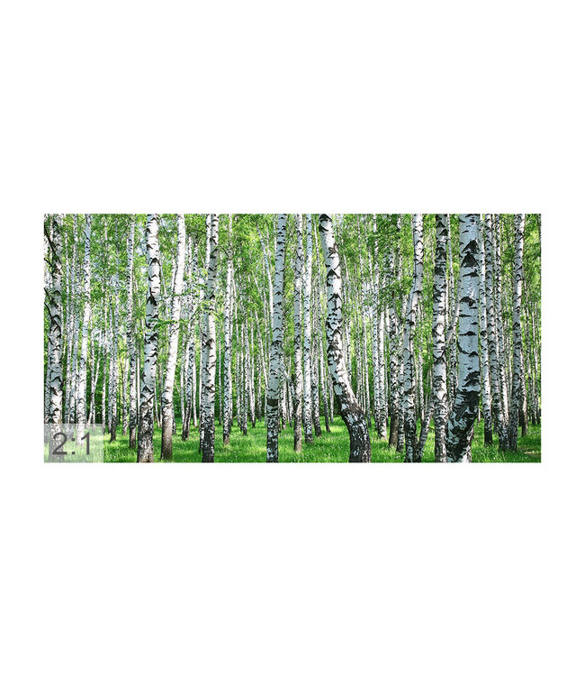 Acoustic picture "Birch forest"  - in an elegant aluminum frame
