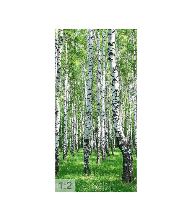 Akustikbild “Birkenwald“  - in einem eleganten Aluminiumrahmen