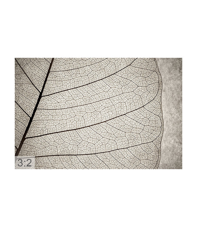 Acoustic picture  "Leaf structure" - in an elegant aluminum frame