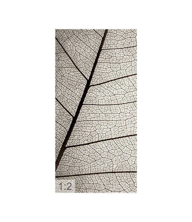 Acoustic picture  "Leaf structure" - in an elegant aluminum frame