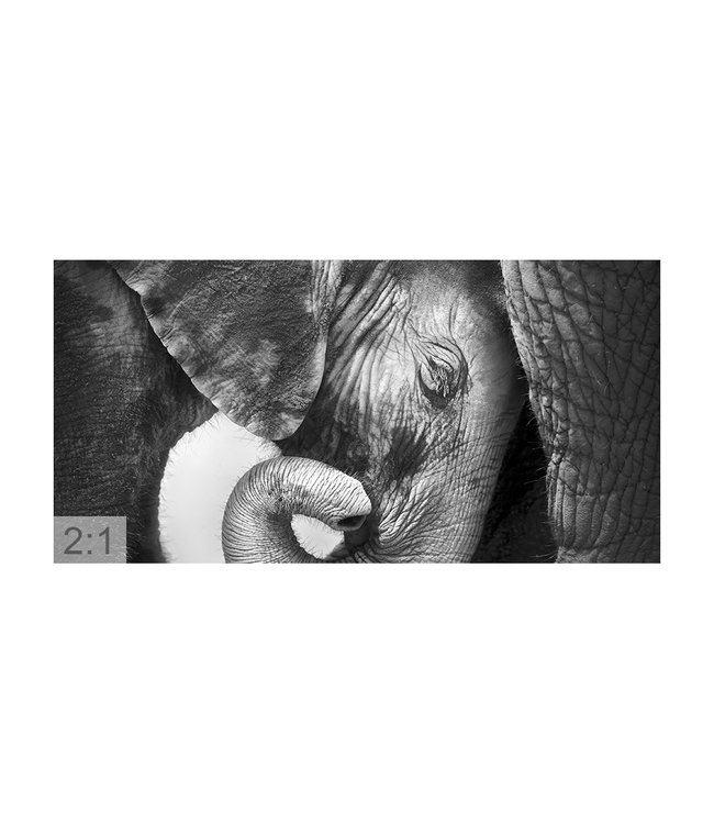 Akustikbild "Elefant" – in einem eleganten Aluminiumrahmen