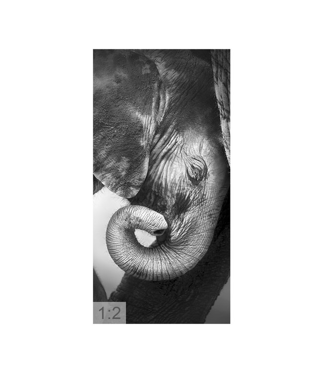 Akustikbild "Elefant" – in einem eleganten Aluminiumrahmen