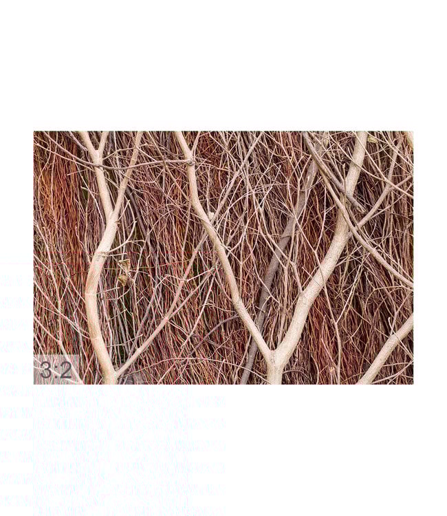 Acoustic picture "Wood" - in an elegant aluminum frame