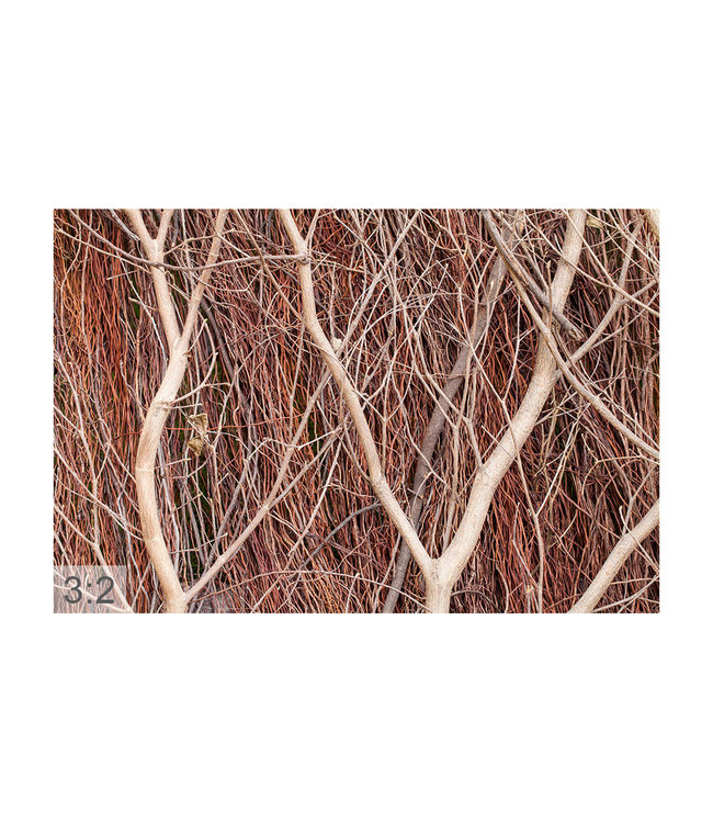 Akustikbild “Braune Äste“ - in einem eleganten Aluminiumrahmen