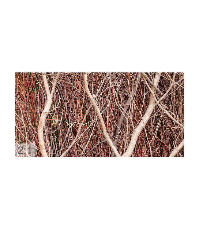 Akustisk bilde "treaktig" - i en elegant aluminiumsramme