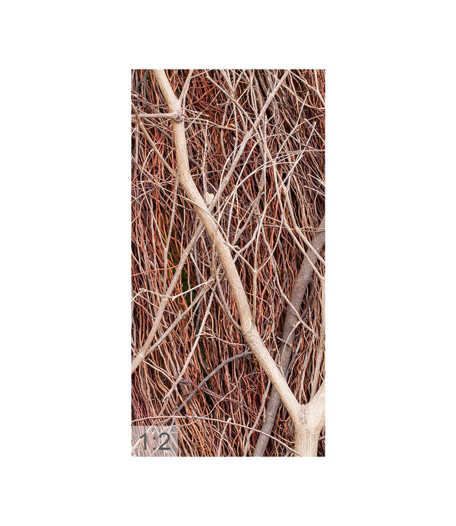 Acoustic picture "Wood" - in an elegant aluminum frame