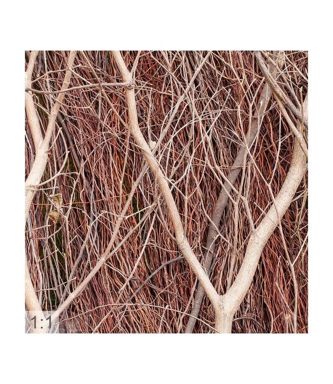 Acoustic picture "Wood" - in an elegant aluminum frame