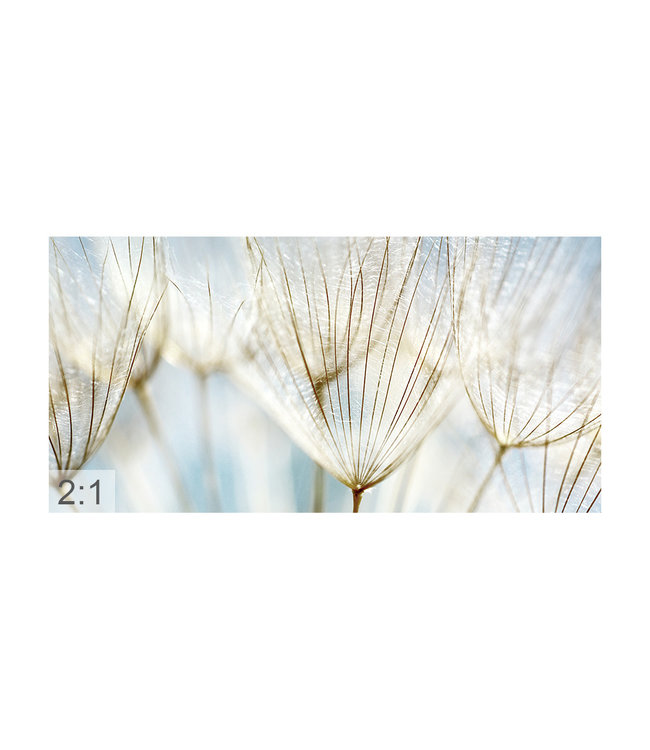 Acoustic picture "Dandelion" - in an elegant aluminum frame