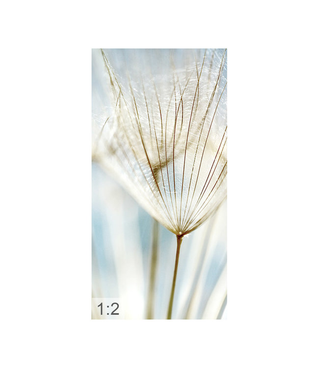 Acoustic picture "Dandelion" - in an elegant aluminum frame