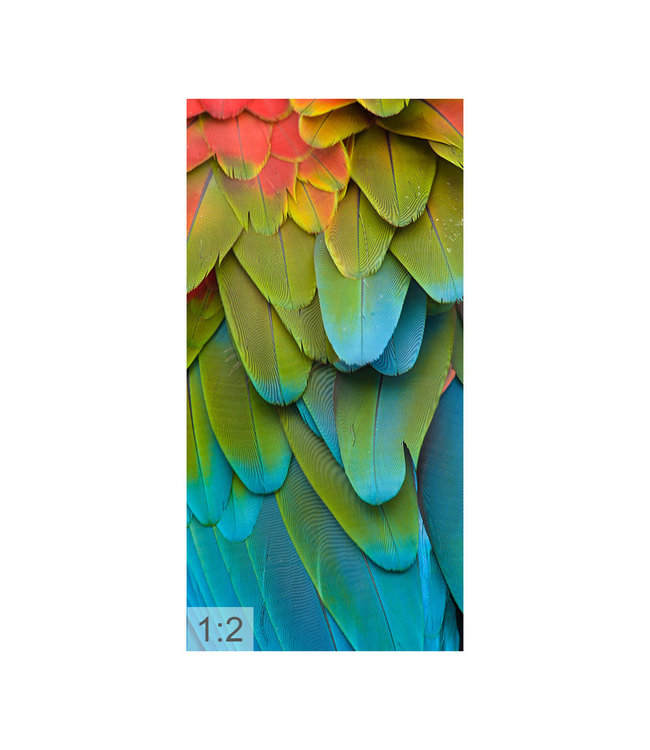 Acoustic picture "Parrot" - in an elegant aluminum frame