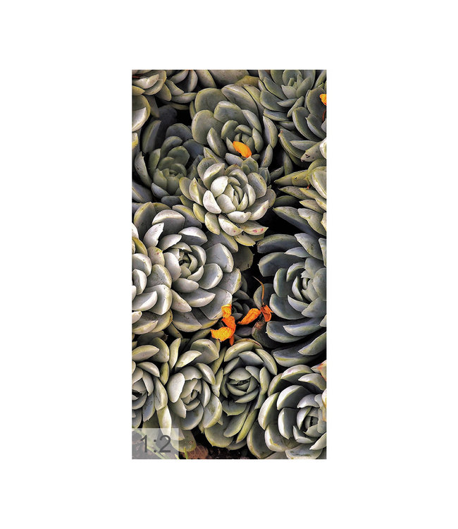 Acoustic picture "Succulents" - in an elegant aluminum frame