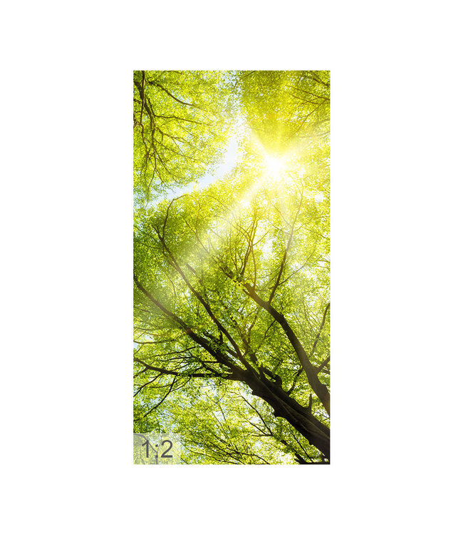 Akustikbild “Wald“ - in einem eleganten Aluminiumrahmen