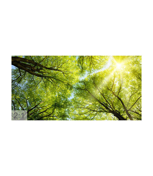 Acoustic picture "Forest"- in an elegant aluminum frame