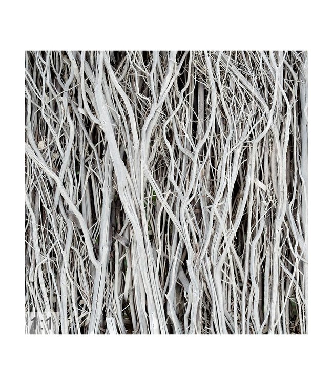 Acoustic picture "White Branches" - in an elegant aluminum frame