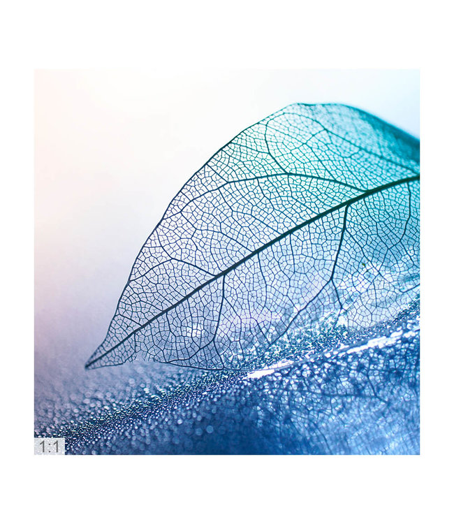 Acoustic pictures "Photo art 2"- in an elegant aluminum frame