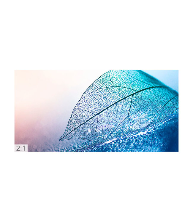 Acoustic pictures "Photo art 2"- in an elegant aluminum frame