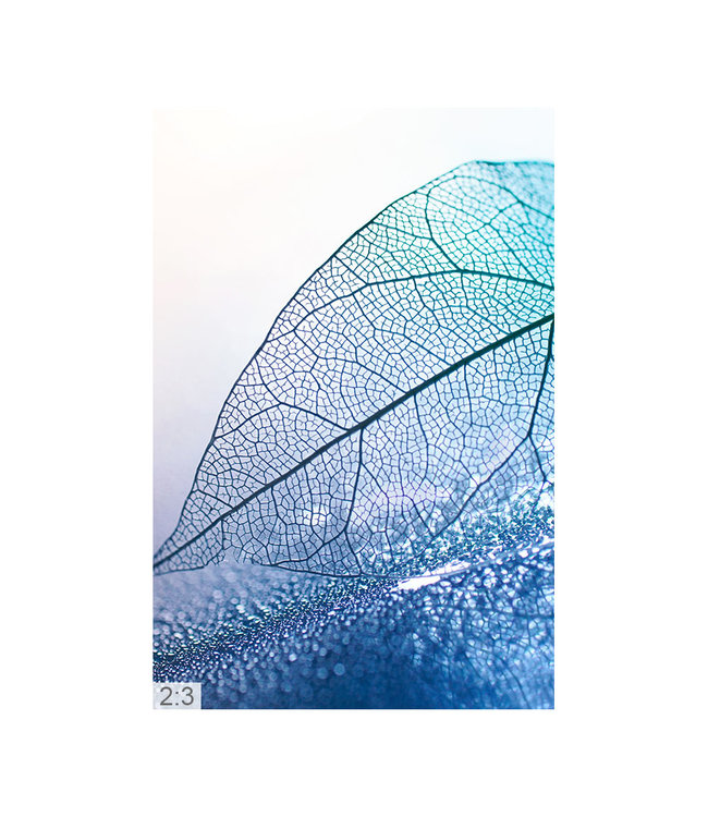 Akustiske bilder "Fotokunst 2" - i en elegant aluminiumsramme