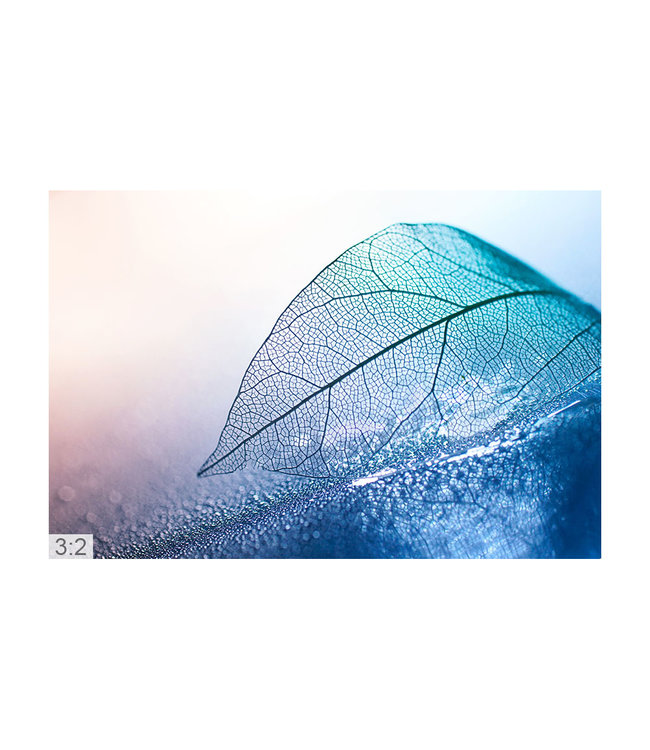 Akustiske bilder "Fotokunst 2" - i en elegant aluminiumsramme