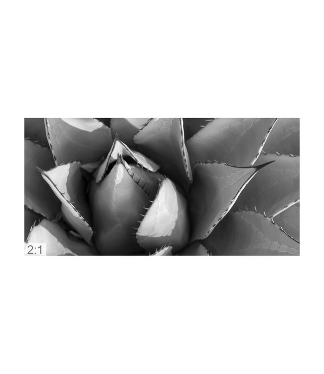 Acoustic picture "Agave cactus" - attractive solution for reducing reverberation!