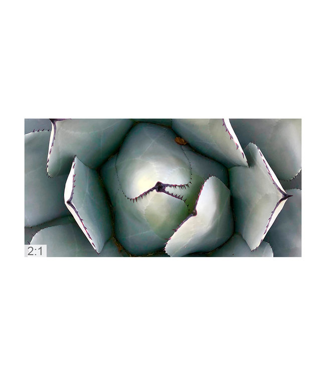 Acoustic picture  "Macro Nature" - in an elegant aluminum frame