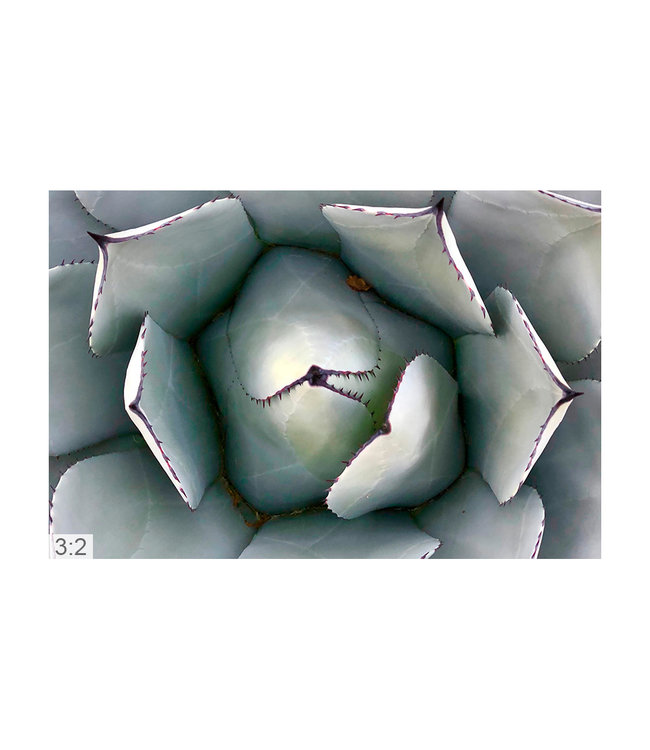 Acoustic picture  "Macro Nature" - in an elegant aluminum frame