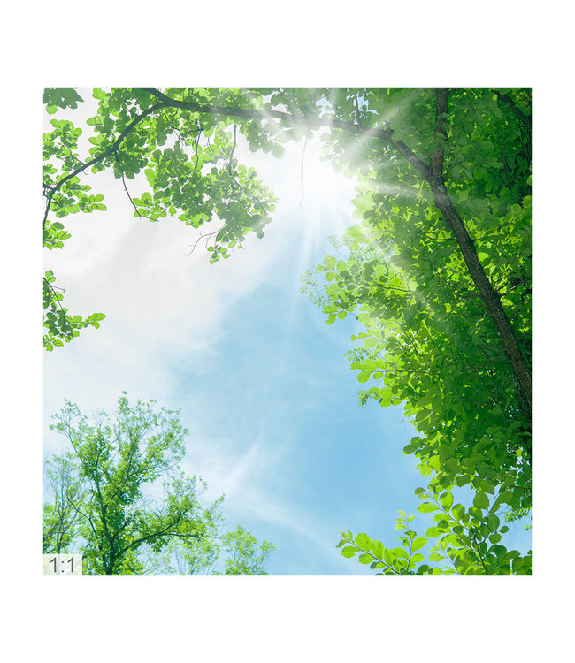 Acustic picture "tree canopy" - in an elegant aluminum frame