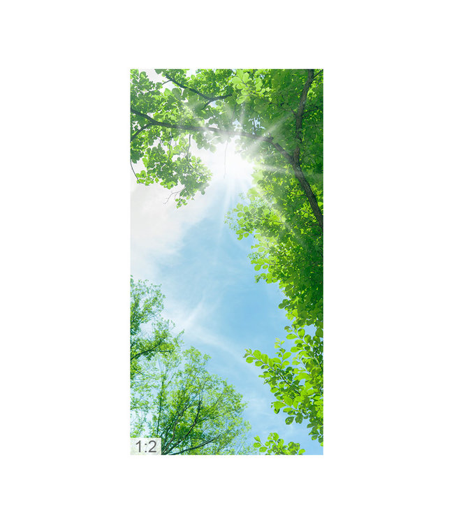 Acustic picture "tree canopy" - in an elegant aluminum frame