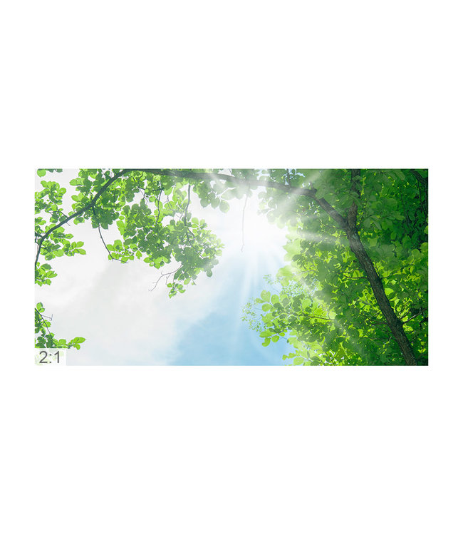 Acustic picture "tree canopy" - in an elegant aluminum frame