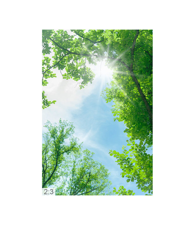 Acustic picture "tree canopy" - in an elegant aluminum frame