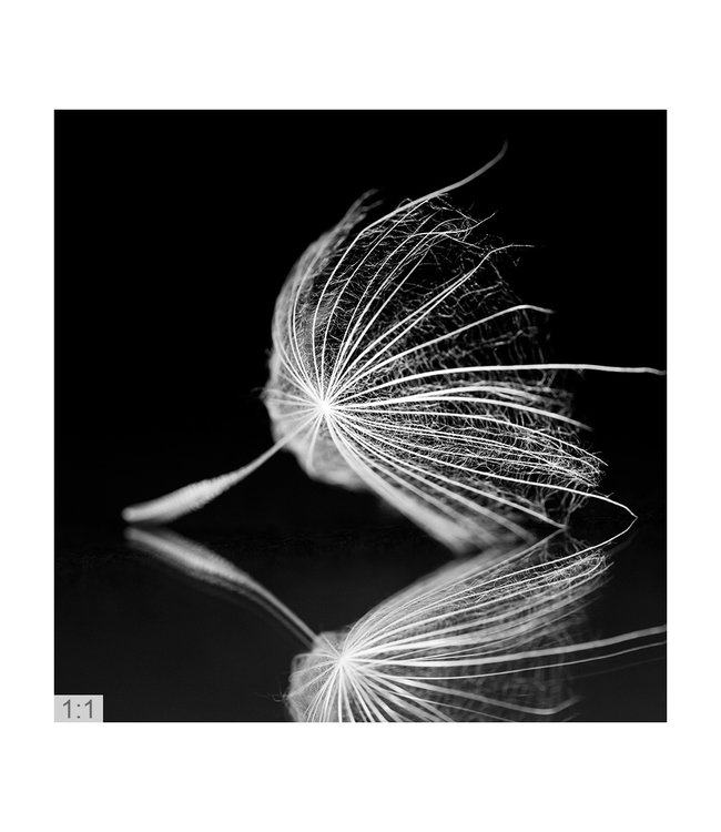 Acoustic picture "Macro photo art 1" - Design and function combined